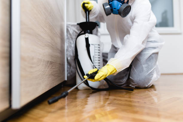 Best Flea Control Services  in Hoopa, CA