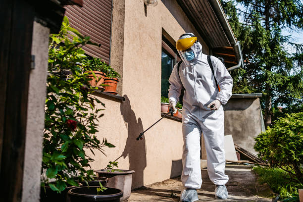 Best Best Pest Control Near Me  in Hoopa, CA