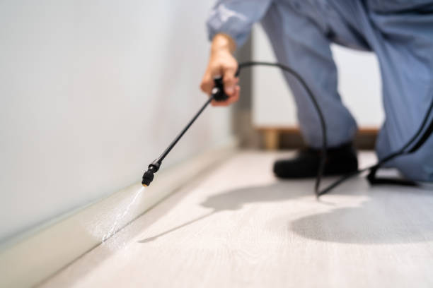 Best Wildlife Control Services  in Hoopa, CA