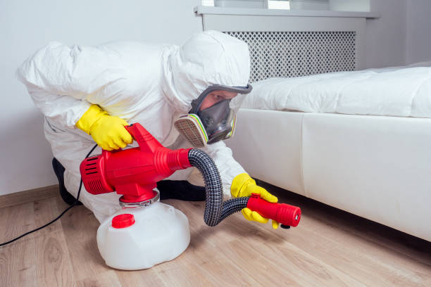 Best Pest Inspection Near Me  in Hoopa, CA