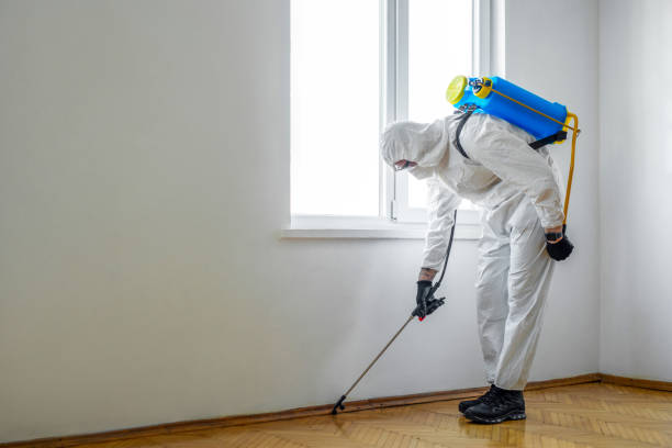 Best Pest Control Near Me in Hoopa, CA