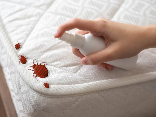 Best Pest Removal Services  in Hoopa, CA