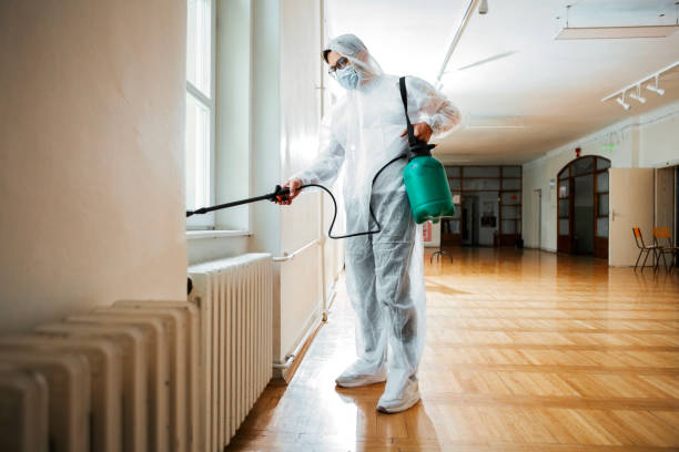 Best Pest Control Near Me  in Hoopa, CA