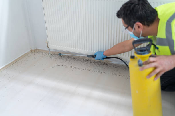 Best Emergency Pest Control  in Hoopa, CA